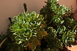 Gap_9_ejercicio_13_2.JPG