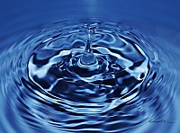 Gota46.jpg
