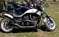 HarleyBlanca1.jpg