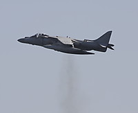 Harrier1.JPG