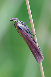 Hx105_02551.jpg
