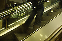 IGP2515b11.jpg