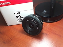 IMG272_Large_.jpg