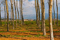 IMG_00036.jpg