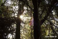 IMG_0008web.jpg