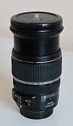 IMG_001712.JPG