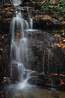 IMG_00287.jpg