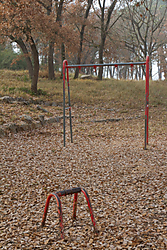 IMG_003619.jpg