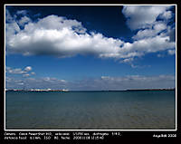IMG_00942.jpg