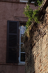 IMG_01156.JPG