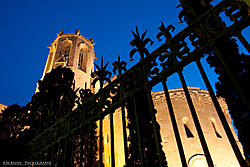 IMG_01701.jpg