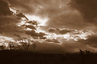 IMG_0192_editado-1.jpg