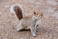 IMG_01963.JPG