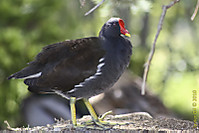 IMG_0207-2.jpg
