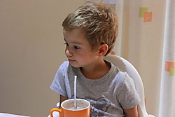 IMG_0221_sin_flash.JPG