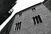 IMG_0226_800x533.JPG