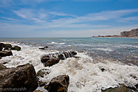 IMG_0229.jpg