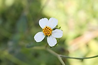IMG_02412.JPG