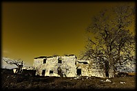 IMG_0254_800x600_.jpg