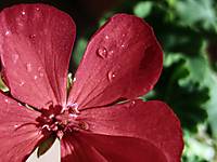 IMG_0256_1024x768_.jpg