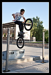IMG_0262a1foro.jpg