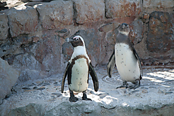 IMG_02823.jpg