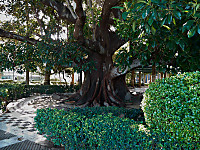 IMG_0292CAPTURE-ONE.jpg