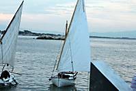 IMG_0323r_800x600_.jpg