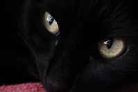 IMG_03644.JPG