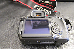 IMG_04253.jpg