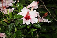 IMG_0434.JPG
