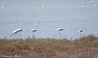IMG_05212.jpg