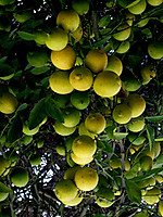IMG_0546_.jpg