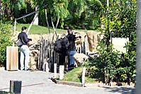 IMG_05733.JPG
