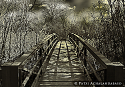 IMG_0604web2.jpg