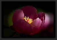 IMG_0702_copia_Large_.jpg