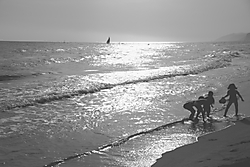 IMG_08684.JPG