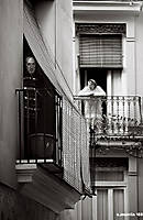 IMG_0871f1.jpg