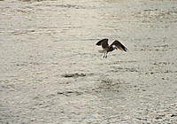 IMG_0876b2.jpg