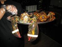 IMG_0958_Medium_.jpg