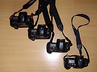 IMG_1003a_640x480_.JPG