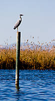 IMG_10331.jpg