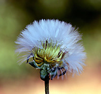 IMG_1037_copia.jpg