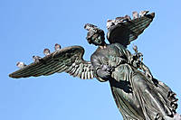 IMG_10714.JPG