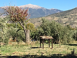 IMG_10907.JPG