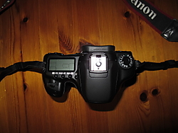 IMG_10923.JPG