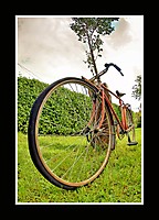IMG_11123.jpg
