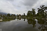 IMG_11381.jpg