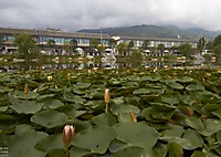 IMG_11424.jpg