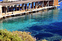 IMG_1195.jpg
